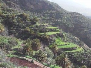 Artenara 