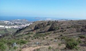 Arucas Teror 