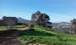 Arucas Teror 