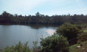 Arucas Teror 