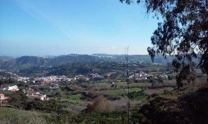 Arucas Teror 
