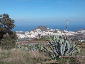 Arucas