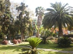 Arucas 