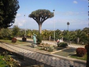 Arucas 
