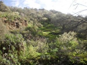 Barranco de los Cernícalos  