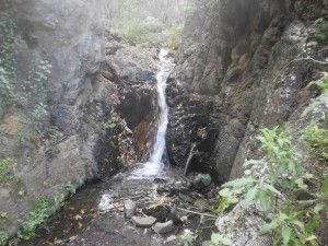 Barranco de los Cernícalos  