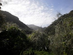 Barranco de los Cernícalos  