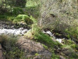 Barranco de los Cernícalos  