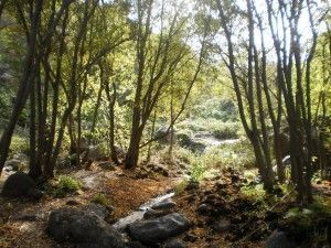 Barranco de los Cernícalos  