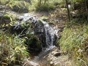 Barranco de los Cernícalos  