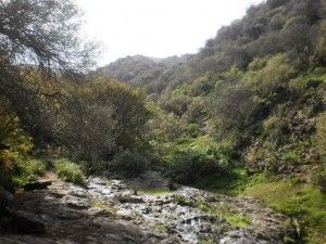 Barranco de los Cernícalos  