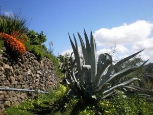 Barranco de la Virgen