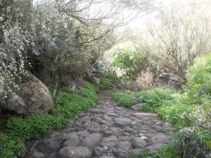 Barranco de los Cernícalos 