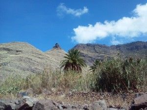 Walking Tour Charco Azul - Guayedray    