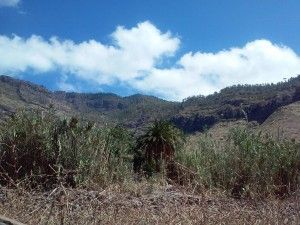 Walking Tour Charco Azul - Guayedray    