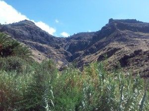Walking Tour Charco Azul - Guayedray    
