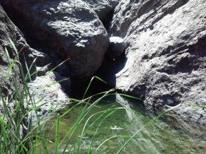 Walking Tour Charco Azul - Guayedray    