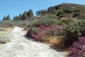 Cruz de Tejeda Artenara  
