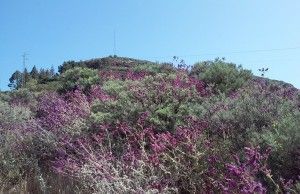 Cruz de Tejeda Artenara  
