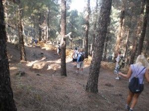 Cruz de Tejeda Teror  
