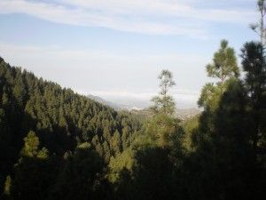 Cruz de Tejeda Teror  