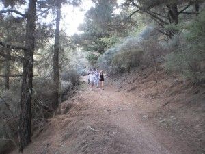 Cruz de Tejeda Teror  