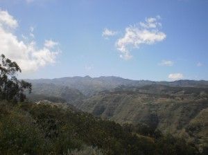 Firgas - Valle de Azuaje 