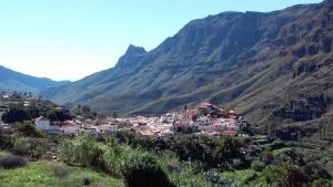 Lazy Wednesdays Full-day Tour Gran Canaria