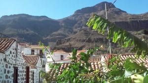 Lazy Wednesdays Full-day Tour Gran Canaria
