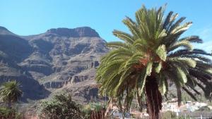 Lazy Wednesdays Full-day Tour Gran Canaria