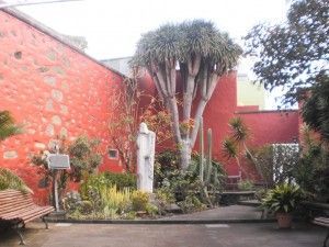 Moya - Museum 