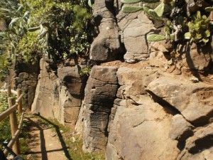 Tilos de Moya 