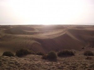 Sand Dunes 
