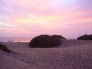 Sand Dunes 