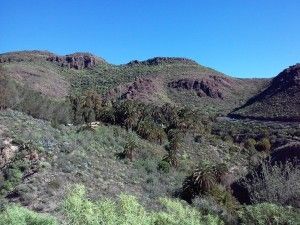 San Bartolomé Fataga 