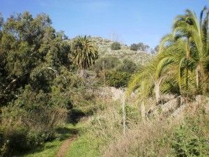 Santa Brígida Jardín Canario 