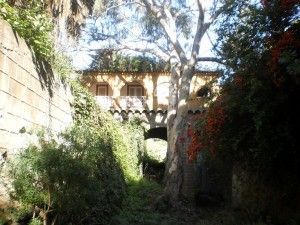 Santa Brígida Jardín Canario 