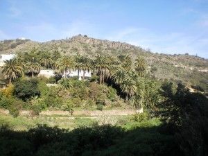 Santa Brígida Jardín Canario 