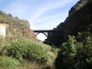Santa Brígida Jardín Canario 