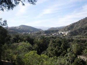 Santa Brígida Jardín Canario 