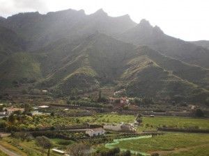 Tamadaba Agaete 