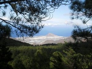 Tamadaba Agaete 