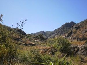 Tejeda Roque Nublo  