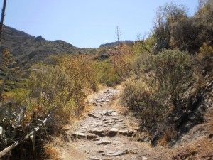 Tejeda Roque Nublo  