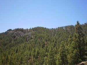 Tejeda Roque Nublo  