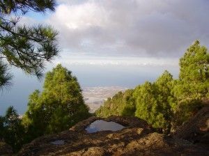 Tamadaba  