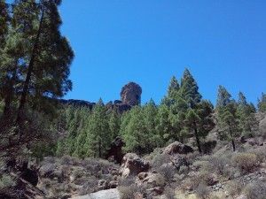 Roque Nublo  