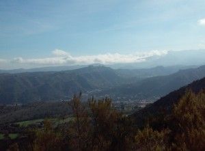 Teror 