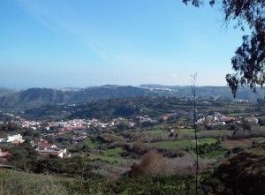 Teror 
