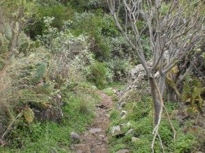 Valle de Azuaje   